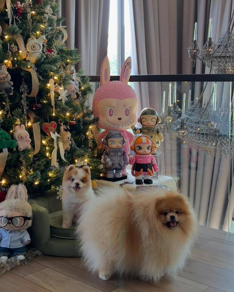 Instagram.com/chitthipbruschweiler